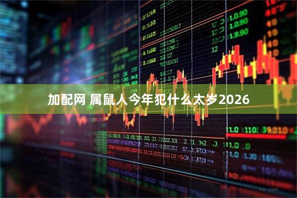 加配网 属鼠人今年犯什么太岁2026
